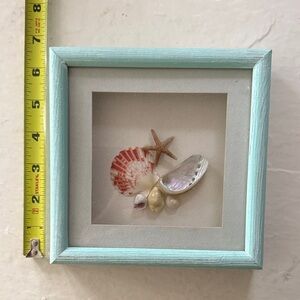 Coastal Seashell Shadow Box Frame